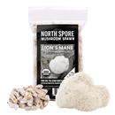 Organic Lion's Mane Mushroom Plug Spawn - 100ct