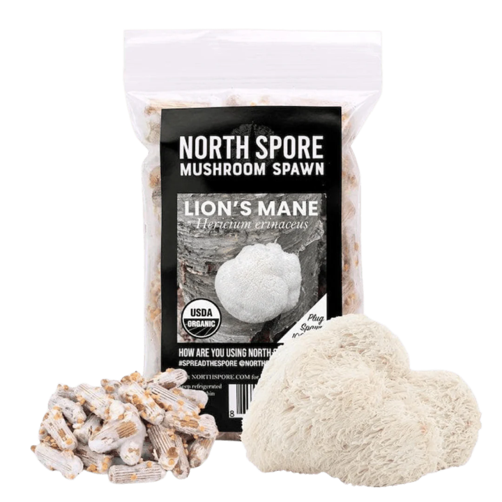 Organic Lion's Mane Mushroom Plug Spawn - 100ct