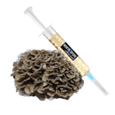 Hen of Woods Liquid Culture Syringe