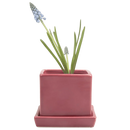 Cube & Saucer - Raspberry - 3 inch