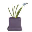 Cube & Saucer - Ultra Violet - 3"