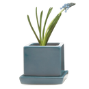 Cube & Saucer - Hydro Blue - 3"