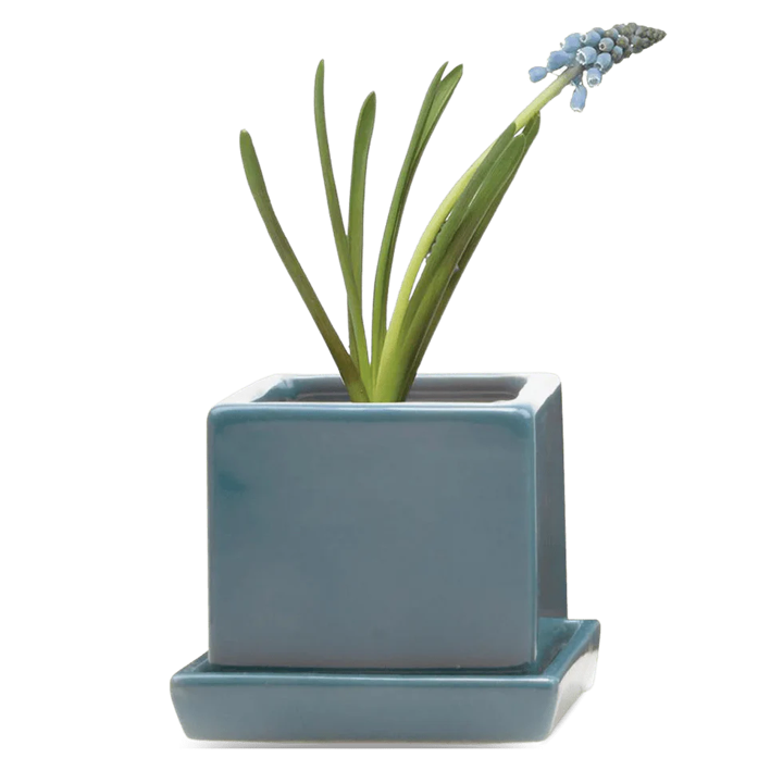 Cube & Saucer - Hydro Blue - 3"