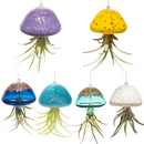 Jellyfish Hand Blown Air Plant Holder - Assorted