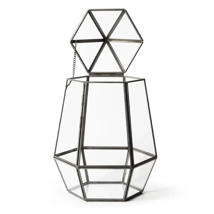 Glass Terrarium Atrium - 6in