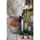 Embossed Stoneware Planter - 8"