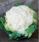 Cauliflower: Snowball Y Seeds