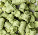 German Tettnang Hop Pellets - 1 oz