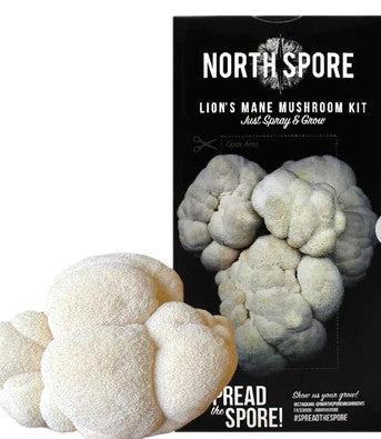 North Spore: Spray and Grow-Lions Mane Mushroom-Grow Kit