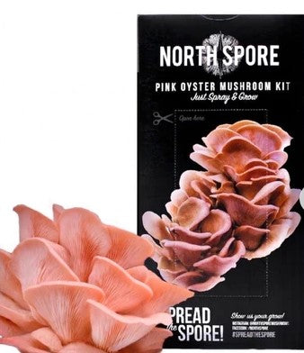 North Spore: Spray and Grow-Pink Oyster Mushroom-Grow Kit