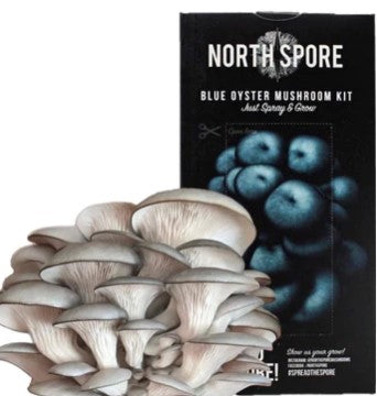 North Spore: Spray and Grow-Blue Oyster Mushroom-Grow Kit