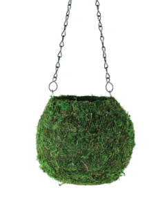 Syndicate: Kokedama Green Moss Ball Planter