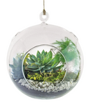 Syndicate: Round Hanging Terrarium