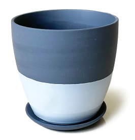 Chive: Dyad Planter with Saucer Assorted-5in tall