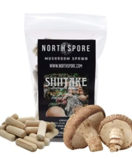 North Spore: Organic Shiitake Mushroom Plug Spawn