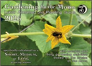 Gardening by the Moon Calendar - 2026