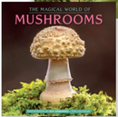 Magic World of Mushrooms Wall Calendar - 2026