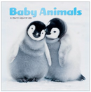 Baby Animals Mini Calendar - 2026