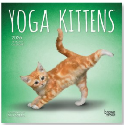 Yoga Kittens Mini Calendar - 2026