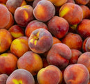 Peach-Contender-5 gal