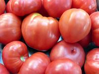 SESE: Tomato: Oxheart Seeds