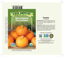 Pumpkin: New England Pie Seeds