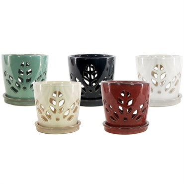 Orchid Pot Round - Assorted Colors - 5.5"