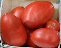 SESE: Tomato: Amish Paste Seeds