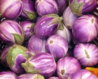 SESE: Eggplant: Rosa Bianca Seeds