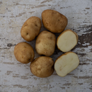 Seed Potato - Superior - 1lb
