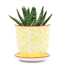 Liberte Pot with Saucer - Yellow Flowers - 3.25"