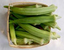Burmese Okra Seeds