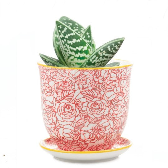 Liberte Pot with Saucer - Red Roses - 3.25"