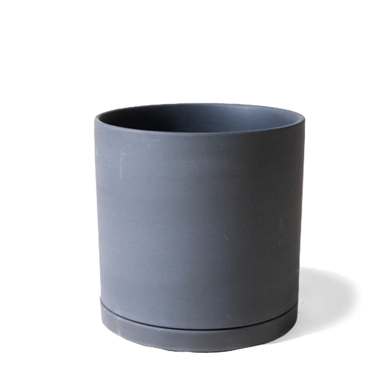 Dojo Pot and Saucer - 3.5 in