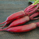 Beet: Cylindra Seeds