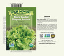Lettuce: Black Seeded Simpson Seeds
