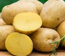 Seed Potato - Yukon Gold - 1lb