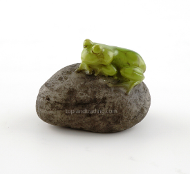 Cute Frog Sleeping on Stone