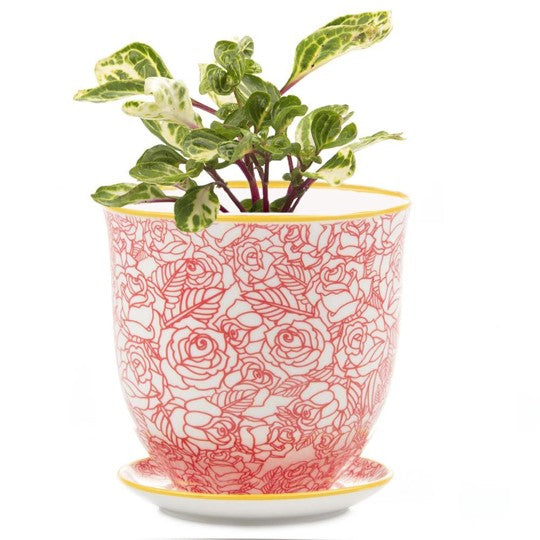 Big Liberte Pot with Saucer - Red Roses - 4.25"