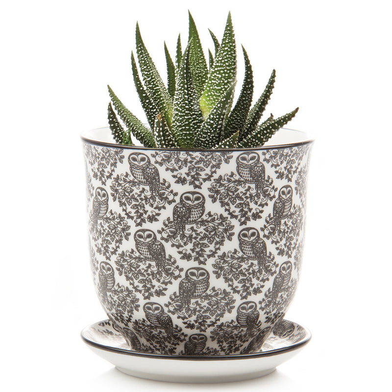 Big Liberte Pot with Saucer - Black Owls - 4.25"