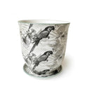 Big Liberte Pot with Saucer - Grey Parrot - 4.25"
