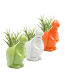 Ethel the Turtle Pot - Assorted - 4"