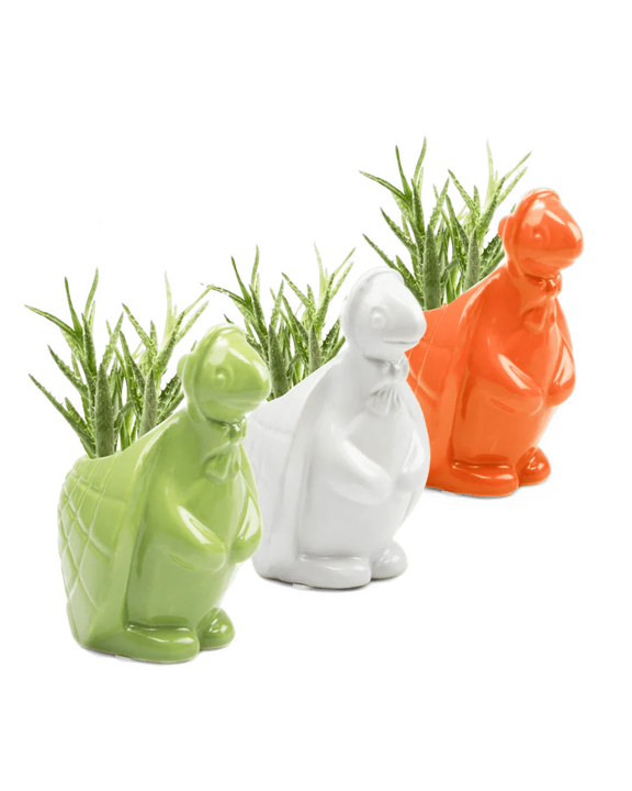 Ethel the Turtle Pot - Assorted - 4"