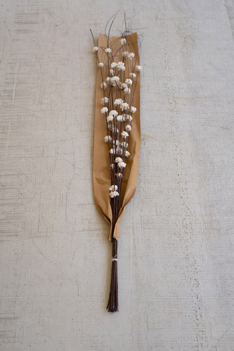 Botanica Collection