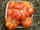 Large Red Tomato Seeds