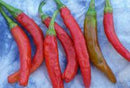 SESE: Pepper: Carolina Cayenne Seeds