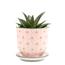 Big Liberte Pot with Saucer - Red Flowers - 4.25"