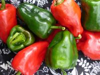 SESE: Pepper: Ancho Poblano Seeds