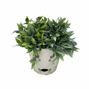 Bamboo Self Watering Planter - Green Leaves - 7"