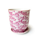 Big Liberte Pot with Saucer - PInk Skulls - 4.25"